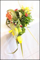 www.floristic.ru - .  