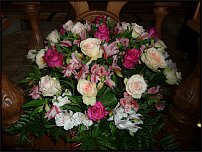 www.floristic.ru - .     (    )