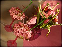 www.floristic.ru - .   