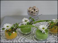 www.floristic.ru - .  