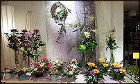 www.floristic.ru - .       ...