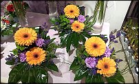 www.floristic.ru - .       ...