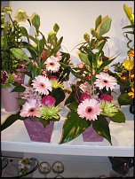 www.floristic.ru - .       ...