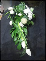 www.floristic.ru - .  