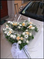 www.floristic.ru - .  