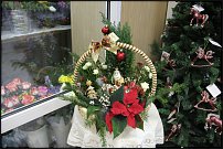 www.floristic.ru - .       ...