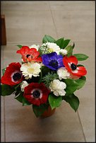 www.floristic.ru - .       - ?