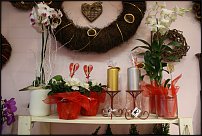 www.floristic.ru - .       - ?