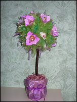 www.floristic.ru - .  .