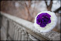 www.floristic.ru - .  .