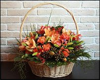 www.floristic.ru - . ,  .