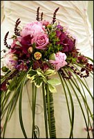 www.floristic.ru - .     .