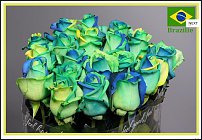 www.floristic.ru - . 