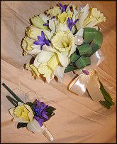 www.floristic.ru - . -Narcissus