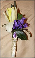 www.floristic.ru - . -Narcissus