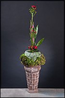 www.floristic.ru - . "Russian Cup" -      2011.