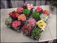 www.floristic.ru - . Gary Loen -  