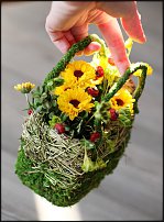 www.floristic.ru - .       ...