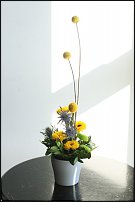 www.floristic.ru - .       ...