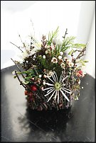 www.floristic.ru - .       ...