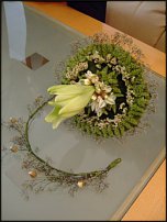 www.floristic.ru - .  . ..20-24.07.2009