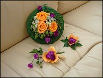 www.floristic.ru - .  . ..20-24.07.2009