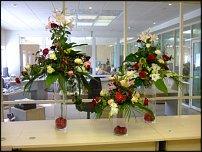 www.floristic.ru - .  . ..20-24.07.2009