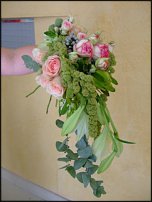 www.floristic.ru - .  . ..20-24.07.2009