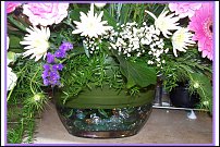 www.floristic.ru - .  .