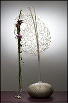 www.floristic.ru - . Mark Pampling- 