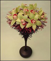 www.floristic.ru - . Mark Pampling- 