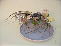 www.floristic.ru - . Mark Pampling- 