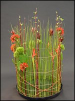 www.floristic.ru - . Mark Pampling- 