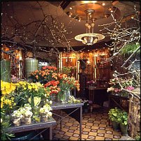 www.floristic.ru - .       