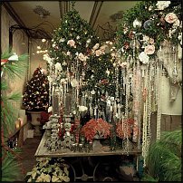 www.floristic.ru - .       