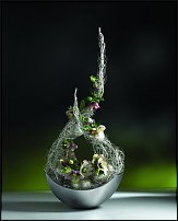 www.floristic.ru - . Life3-Tomas De Bruyne (),Max van de Sluis ()  Per Benjamin ().