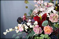 www.floristic.ru - Флористика. Роман Штенгауэр, Россия
