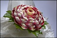 www.floristic.ru - Флористика. Сергей Карпунин