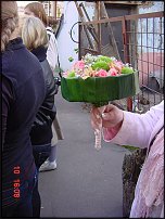 www.floristic.ru - .    