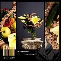 www.floristic.ru - .    "-"