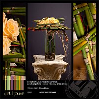 www.floristic.ru - .    "-"