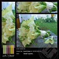 www.floristic.ru - .    "-"