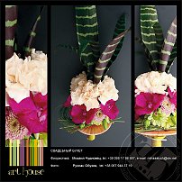 www.floristic.ru - .    "-"