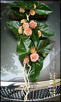 www.floristic.ru - .    "-"