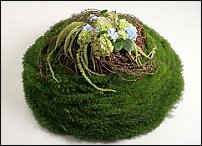 www.floristic.ru - . Andy Djati Utomo -  