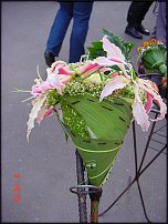 www.floristic.ru - .   ""