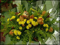 www.floristic.ru - .  