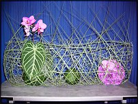 www.floristic.ru - . Mark Pampling- 