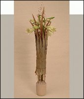 www.floristic.ru - . Mark Pampling- 