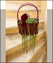 www.floristic.ru - Флористика. Mark Pampling-Марк Памплинг